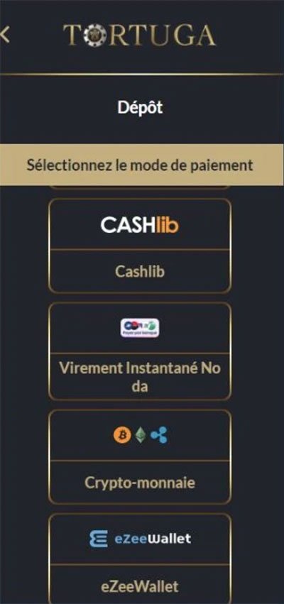 Tortuga casino en ligne - L'Évolution de la Culture du Loisir Numérique en France Métropolitaine